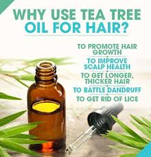 benefits of tea tree oil for hair