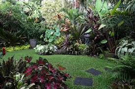 How To Create A Tropical Garden