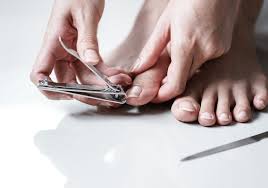 13 best toenail clippers for seniors in