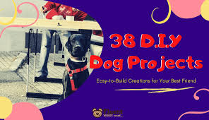 38 diy dog projects easy to build