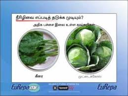 Diabetes Food Chart In Tamil Pdf Diabetestalk Net