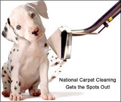 national carpet cleaning