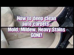 deep clean car carpets mold mildew
