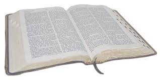 Image result for bible