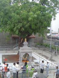 Image result for images of devotees doing pradakshina at gurusthan shirdi