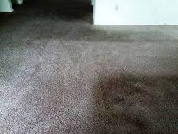 carpet cleaning gallery smith mathis