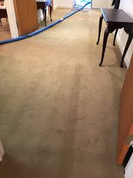 eco interior maintenance carpet