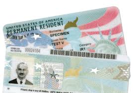 A green card (permanent resident card): Why Don T Mexicans Just Apply For Citizenship