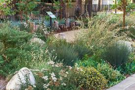 Fresh Planting Ideas For Rain Gardens