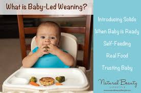 What Is Baby Led Weaning Introducing Solids With Real Food