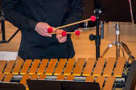A musical instrument consisting of flat wooden bars of different lengths that the xylophone construction provides a fixed horizontal surface comprising a deck of keys framed by. 6 Rare Music Instruments That Originate In Latin America Sounds And Colours