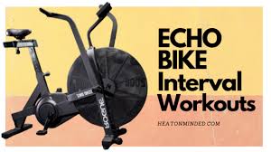 interval workouts for the rogue echo