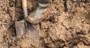 How To Amend Clay Soil My Garden Life