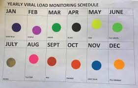 A Monthly Colour Coded Vl Sticker Chart B Patient Charts