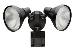 Defiant Motion Security Light At
