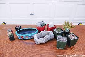 How To Make An Indoor Cactus Garden