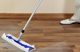 steam cleaner for your wood floors