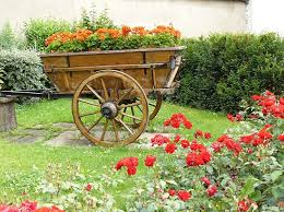 Garden Wagon Flower Cart