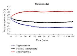 Hyperthermia Normal Temperature And Hypothermia Mice