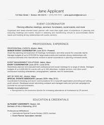 Company Annual Plan Template Also Luxury Event Planner Resume And