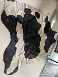 authentic cowhide rug from spotlight