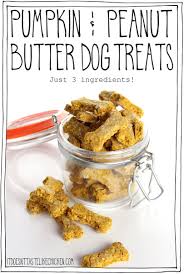 pumpkin peanut er dog treats