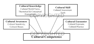 the process of cultural competence in the delivery of healthcare figure 1