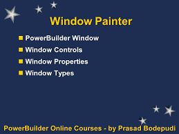 Powerbuilder Window Window Controls Window Properties Window