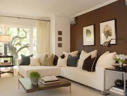 Two Colour Combination For Living Room