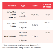 Influenza Immunisation Programme gambar png