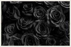 what is the meaning of black roses