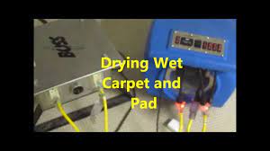 drying wet carpet and pad you