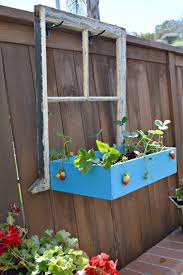 Old Window And Drawer Into A Flower Box