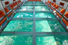 Glass Bottom Boat 2 Hours Tour And