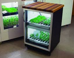 Mini Hydroponic System For Your Kitchen