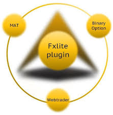 Fxlite Plugin For Metatrader 4 And Metatrader 5 A Unique