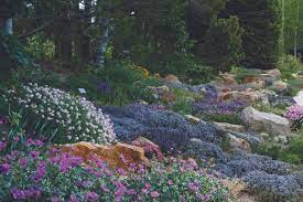 of the betty ford alpine gardens