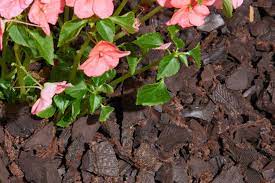 is rubber mulch safe for plants