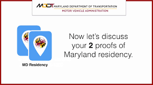 maryland driver s license or id card