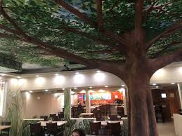 El Yunque Treehouse Rio Grande Restaurant Reviews Photos