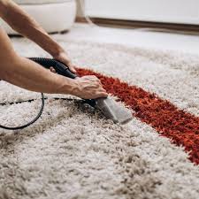 carpet cleaners in st augustine fl