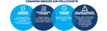indoor air quality paschal air