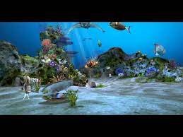 3d aquarium live wallpaper hd apps on