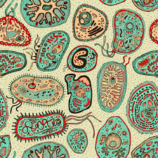 biology phone wallpapers top free