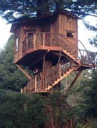 Established in 2006 in fall city, washington, treehouse point is pete and judy nelson's flagship overnight retreat and event center. 40 Tree House Masters Ideas Tree House Cool Tree Houses Treehouse Masters