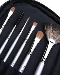 kryolan professional 8 brushes kit
