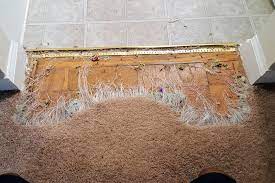 pet damage maryland carpet repair