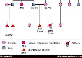 Recurrent Miscarriage Causes Evaluation And Treatment