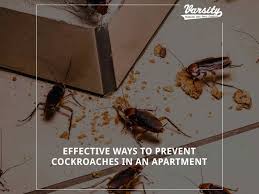 prevent roaches in an apartment
