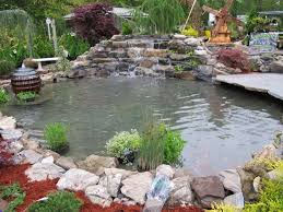 Fish Ponds Backyard Water Garden